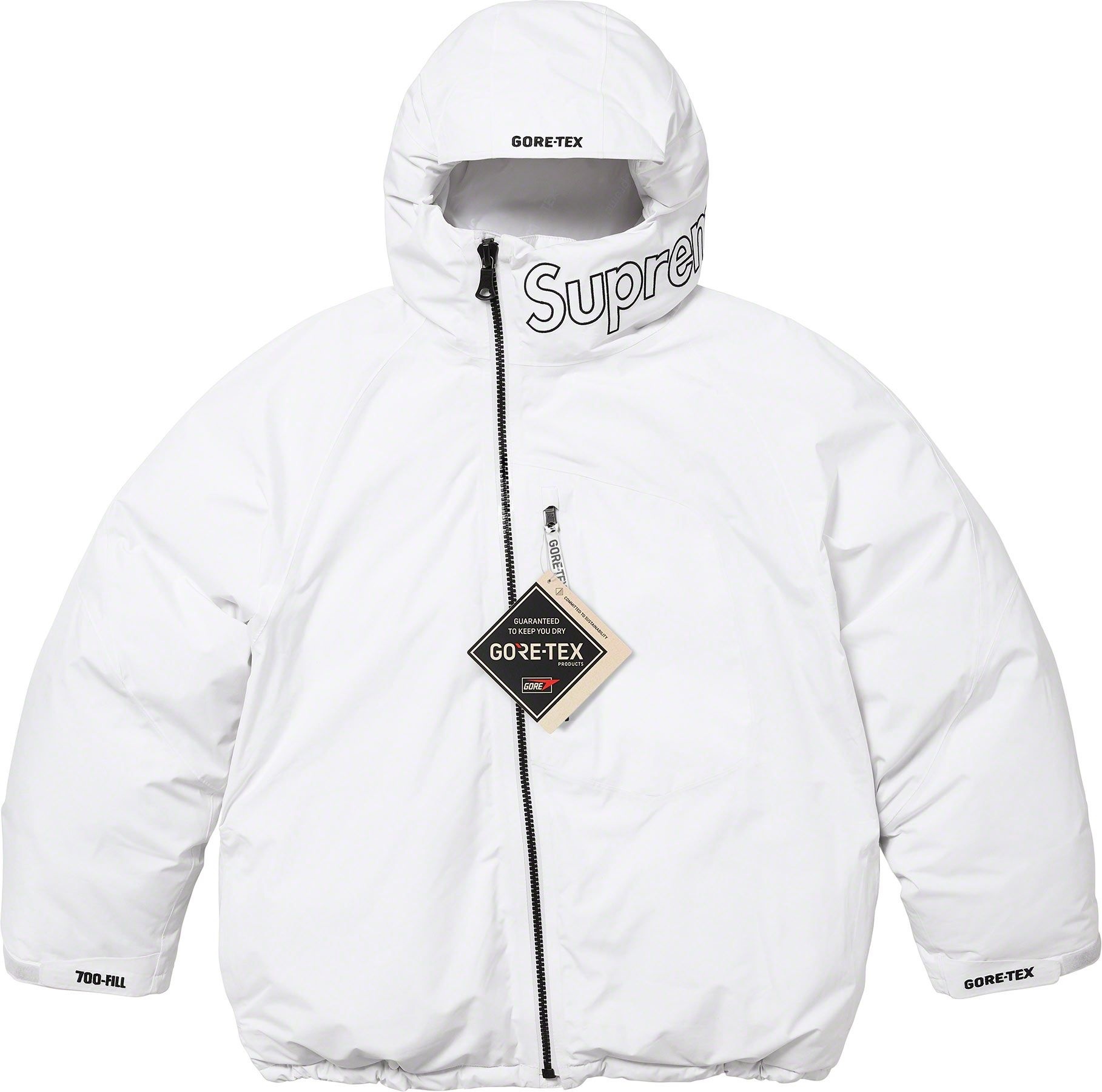 GORE-TEX 700-Fill Down Parka view 2